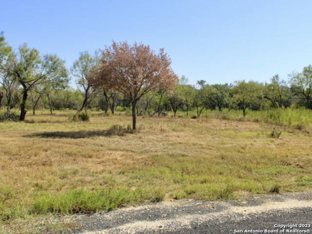 Lytle, TX 78052,186 Short Meadow Drive