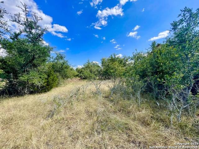 Blanco, TX 78606,140 N CALVIN BARRETT