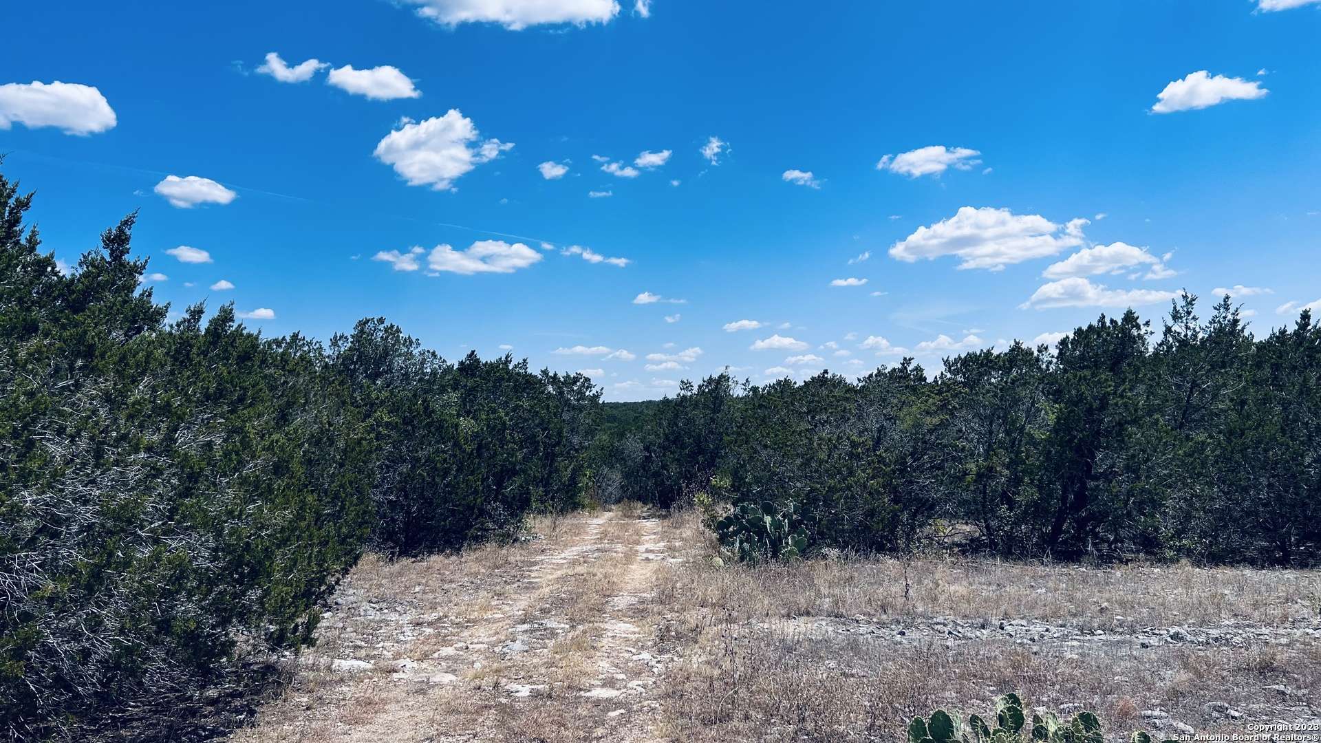 Hondo, TX 78861-7020,1474 Private Road 233