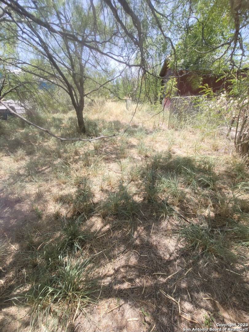 Carrizo Springs, TX 78334,LOT 13 N 8TH ST