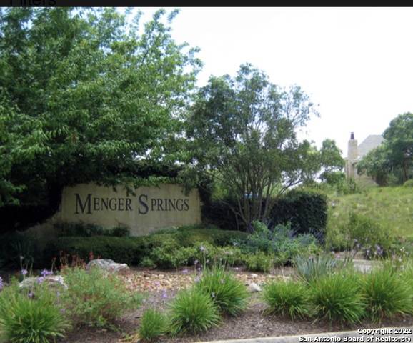 Boerne, TX 78006,513 Menger Springs