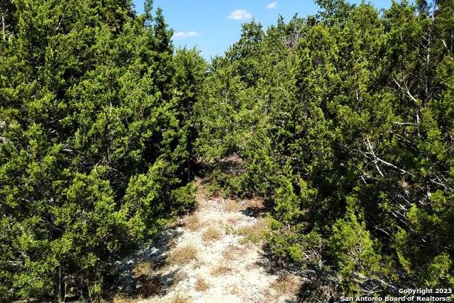 Canyon Lake, TX 78133,1151 ROCKY RIDGE LOOP