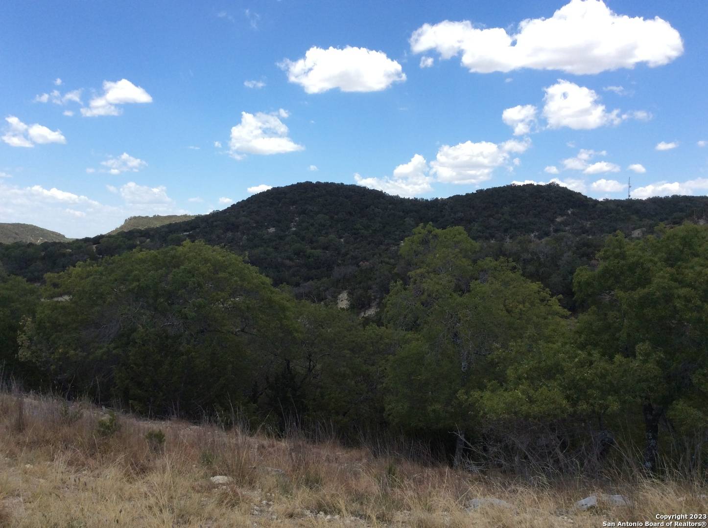 Bandera, TX 78003,973 DEAD POACHER TRAIL