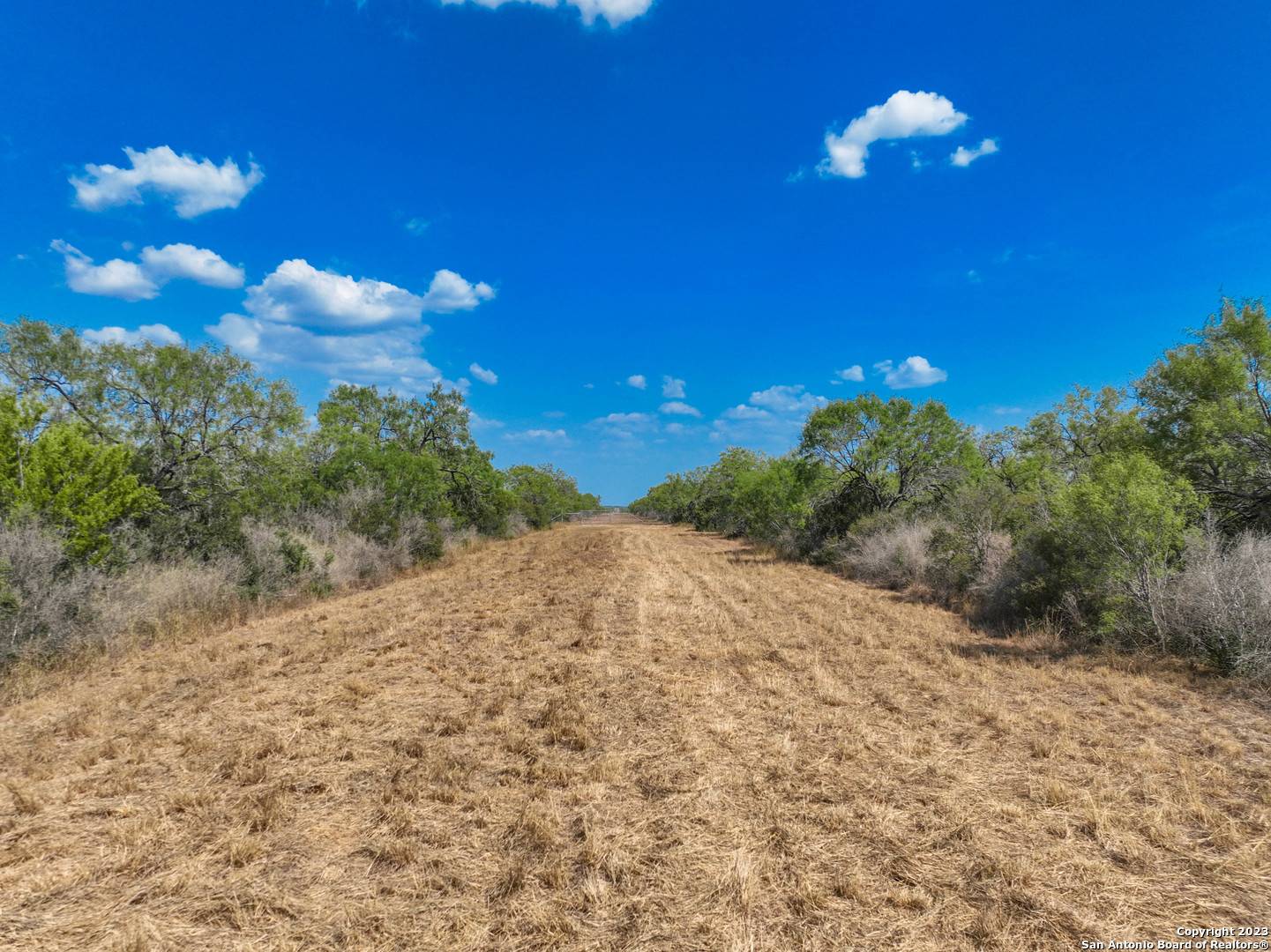 Pleasanton, TX 78064,1126 CR 422A