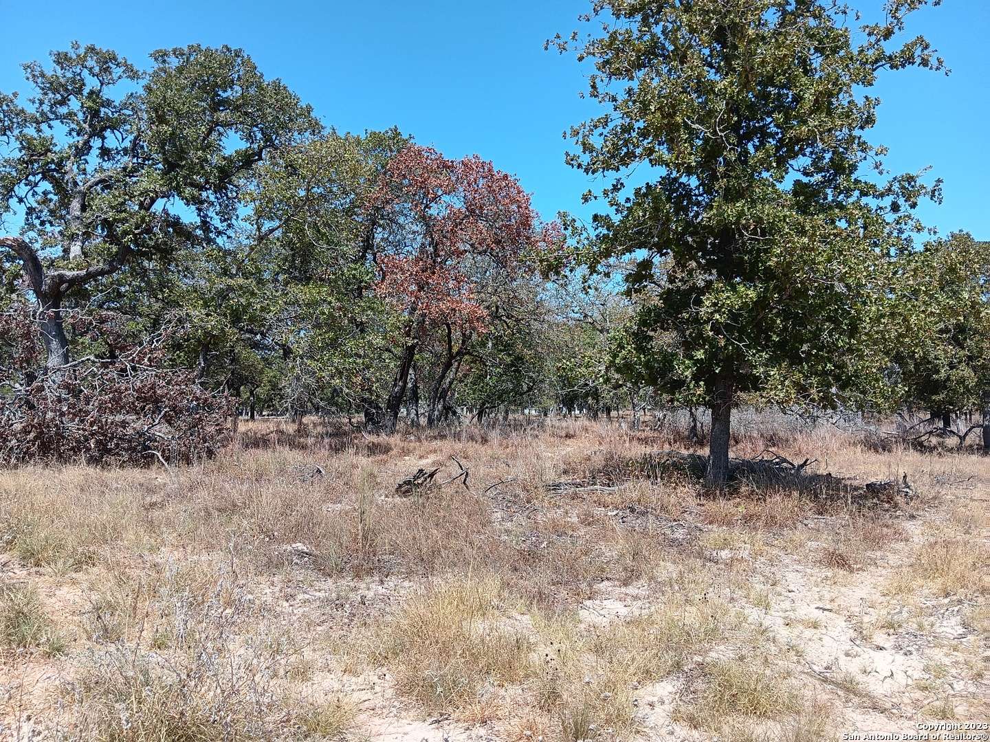 Adkins, TX 78101,117 Pioneer Trail