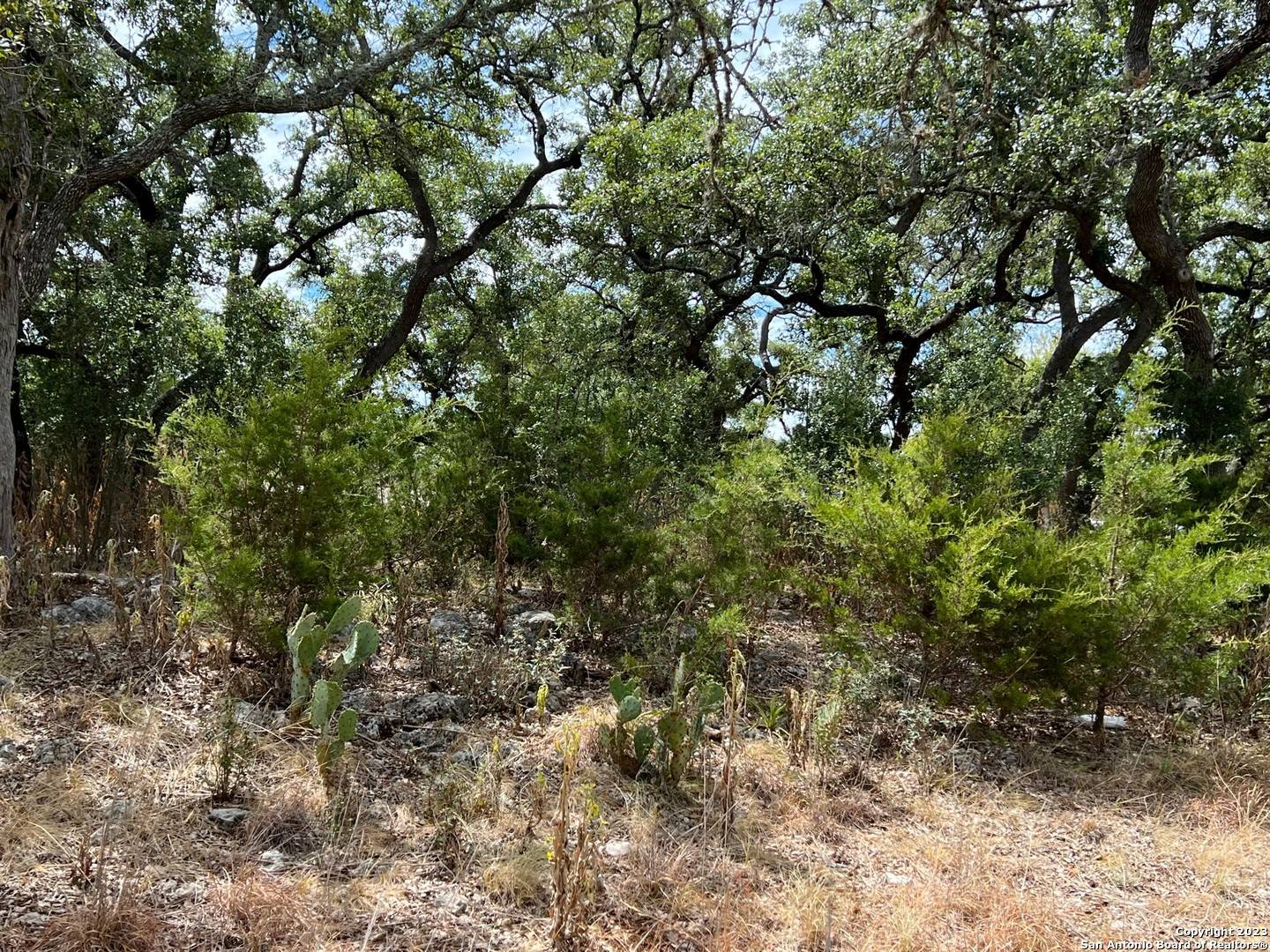 Boerne, TX 78006,LOT 29 ALBERI LN