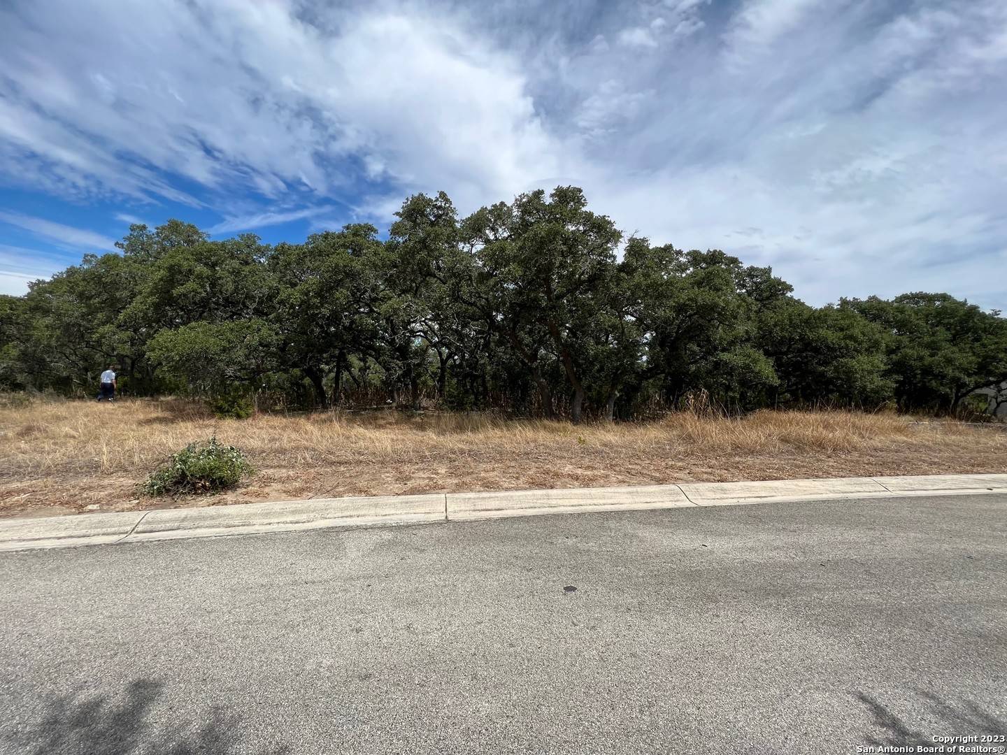 Boerne, TX 78006,LOT 29 ALBERI LN