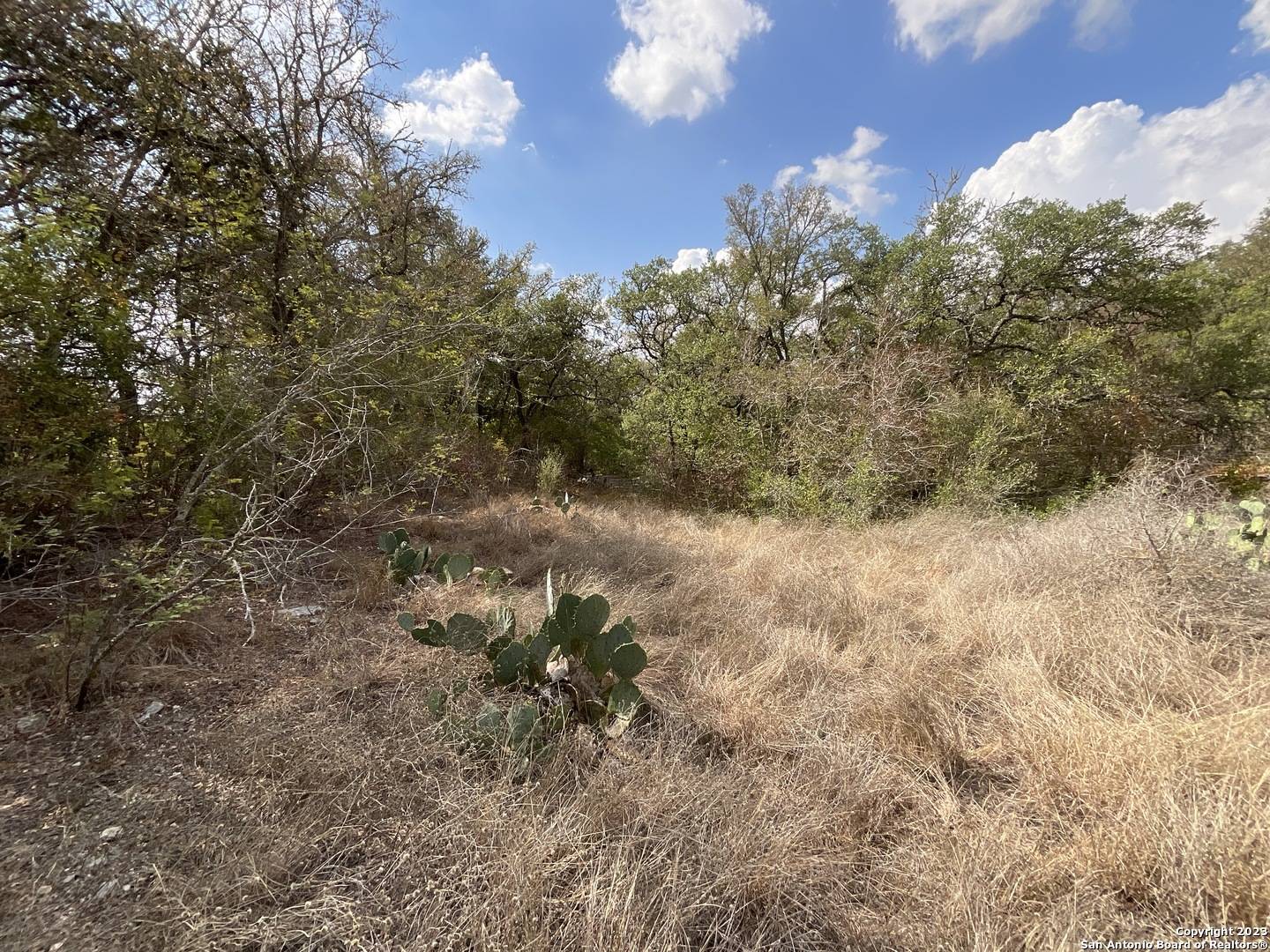 San Antonio, TX 78253,LOT 198 FM 1957