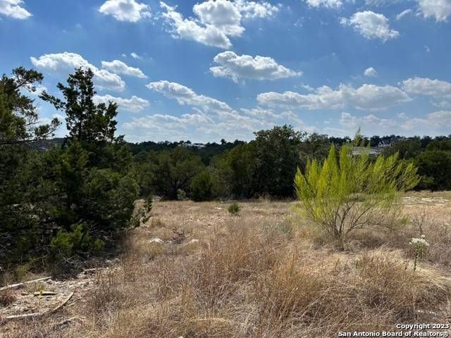 New Braunfels, TX 78132,1213 Salt Lick Dr
