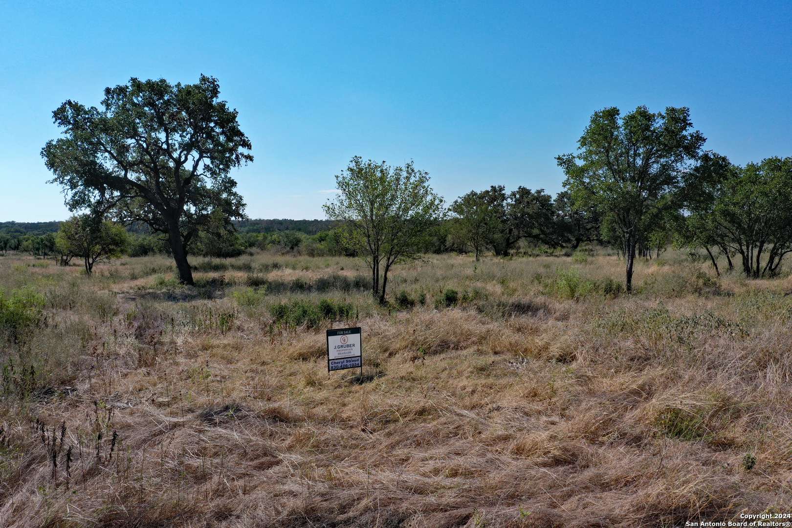 Hondo, TX 78861,LOT 13 Grand Ranch
