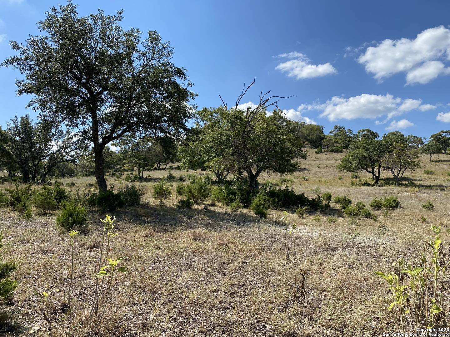 Pipe Creek, TX 78063,LOT 43 Blackbuck Trail