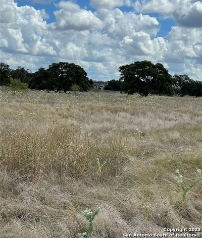 Bandera, TX 78003,TBD Martingale Trail