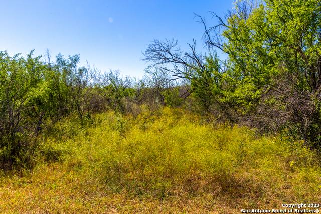 Devine, TX 78016,661 CR 661