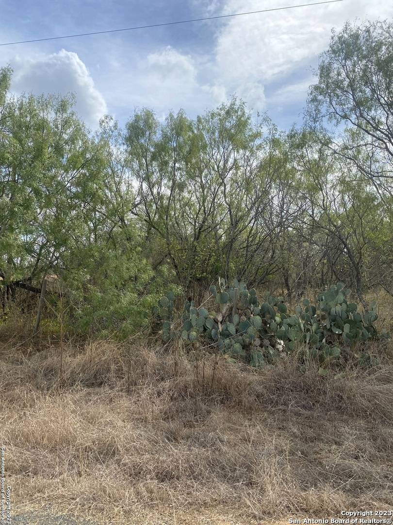 Floresville, TX 78114,782 Cr 121