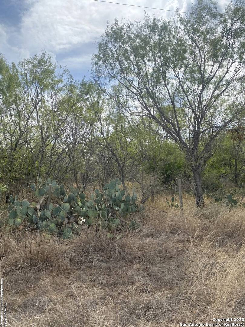 Floresville, TX 78114,782 Cr 121