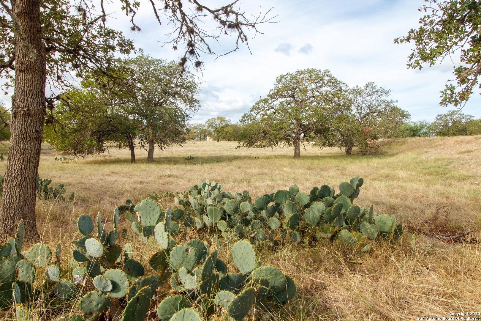 Medina, TX 78055-3754,455 HUBBLE LN