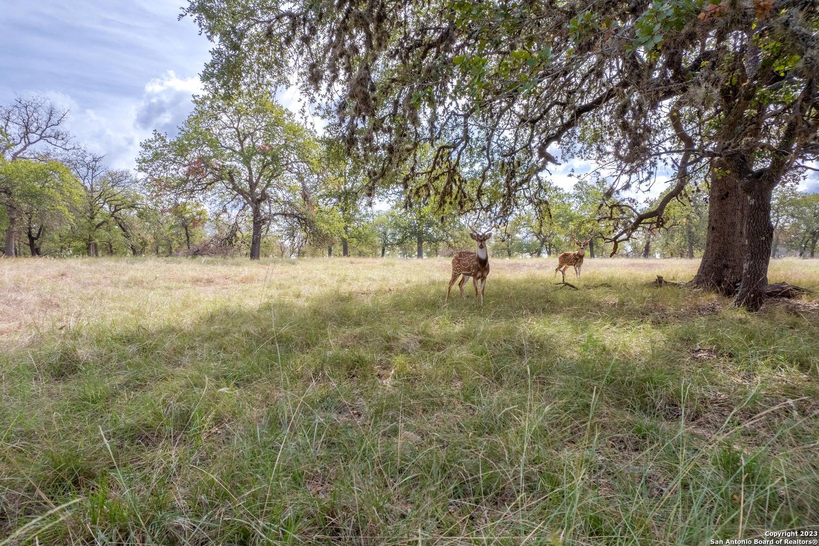 Medina, TX 78055-3754,455 HUBBLE LN