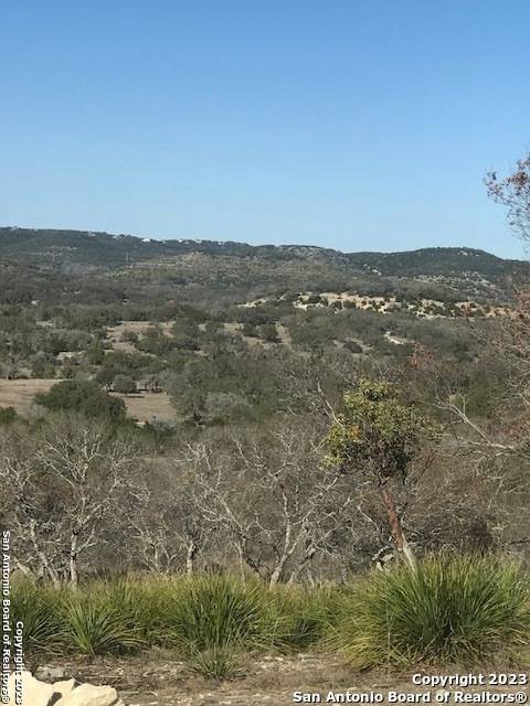 Pipe Creek, TX 78063,LOT 49 Blackbuck Trail