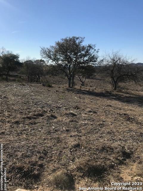 Pipe Creek, TX 78063,LOT 49 Blackbuck Trail