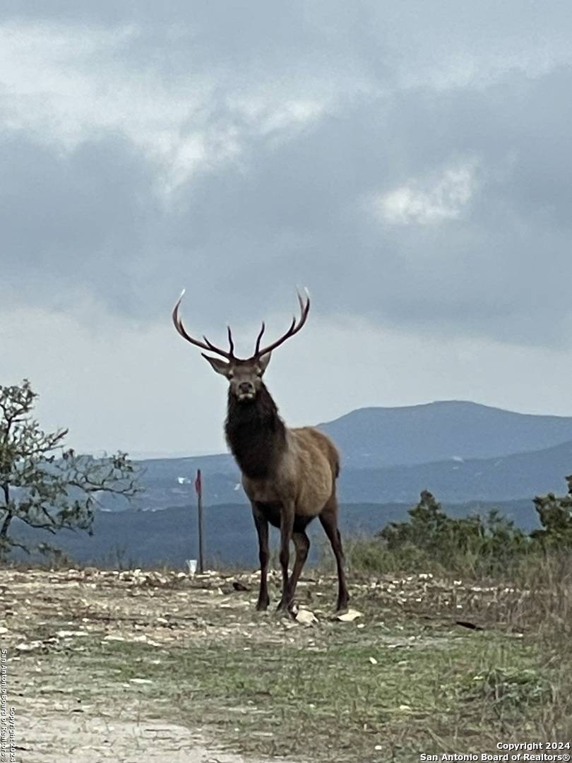 Pipe Creek, TX 78063,LOT 78 Oryx St.