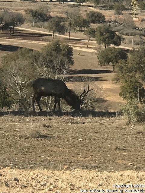 Pipe Creek, TX 78063,LOT 78 Oryx St.