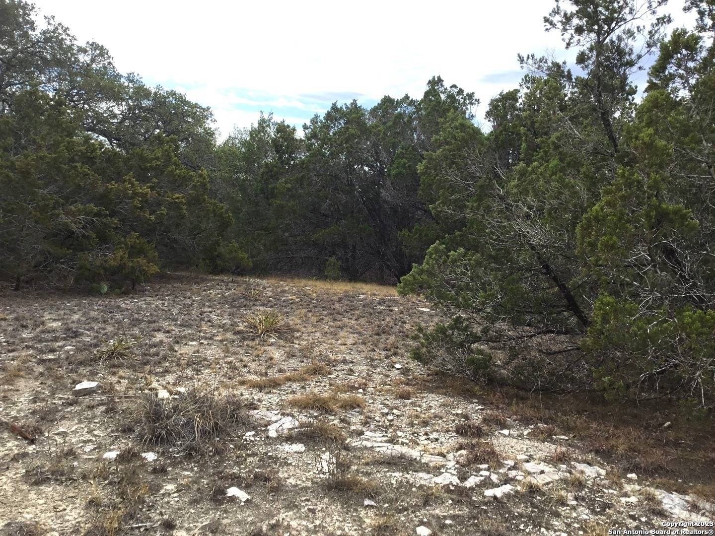 Spring Branch, TX 78070,101 Stallion Estates Dr