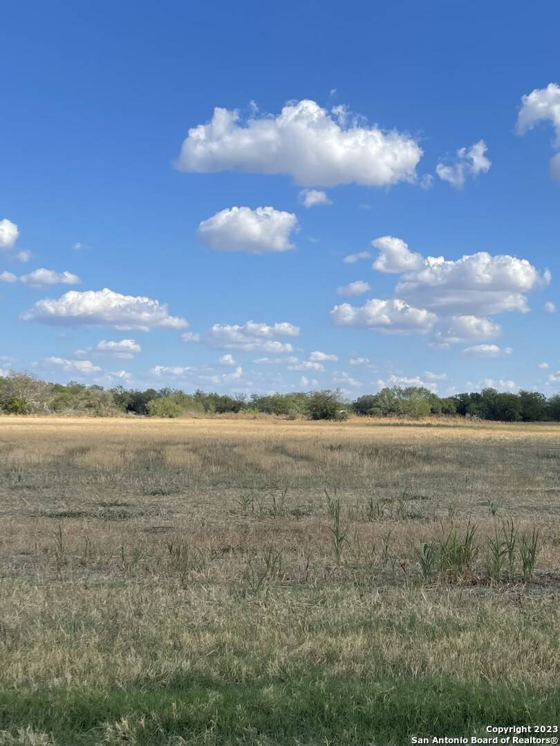 Elmendorf, TX 78112,14 ACRES Donop Road