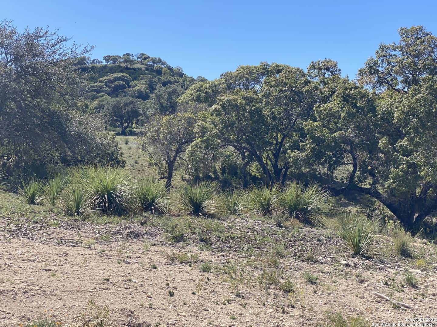 Pipe Creek, TX 78063,LOT 43 Blackbuck Trail