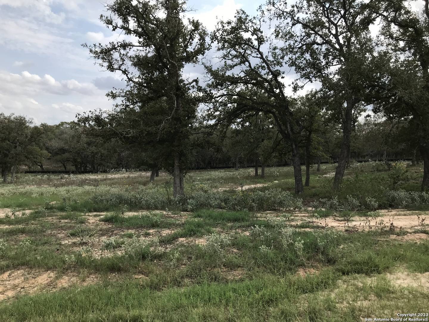 La Vernia, TX 78121,156 HONDO RIDGE