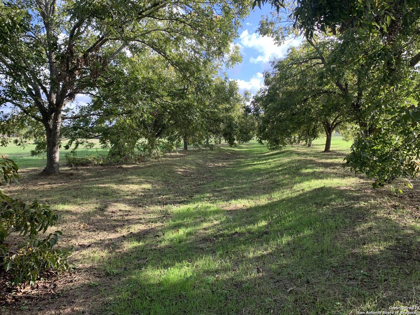 Seguin, TX 78155,TBD KRAMS CREEK RD