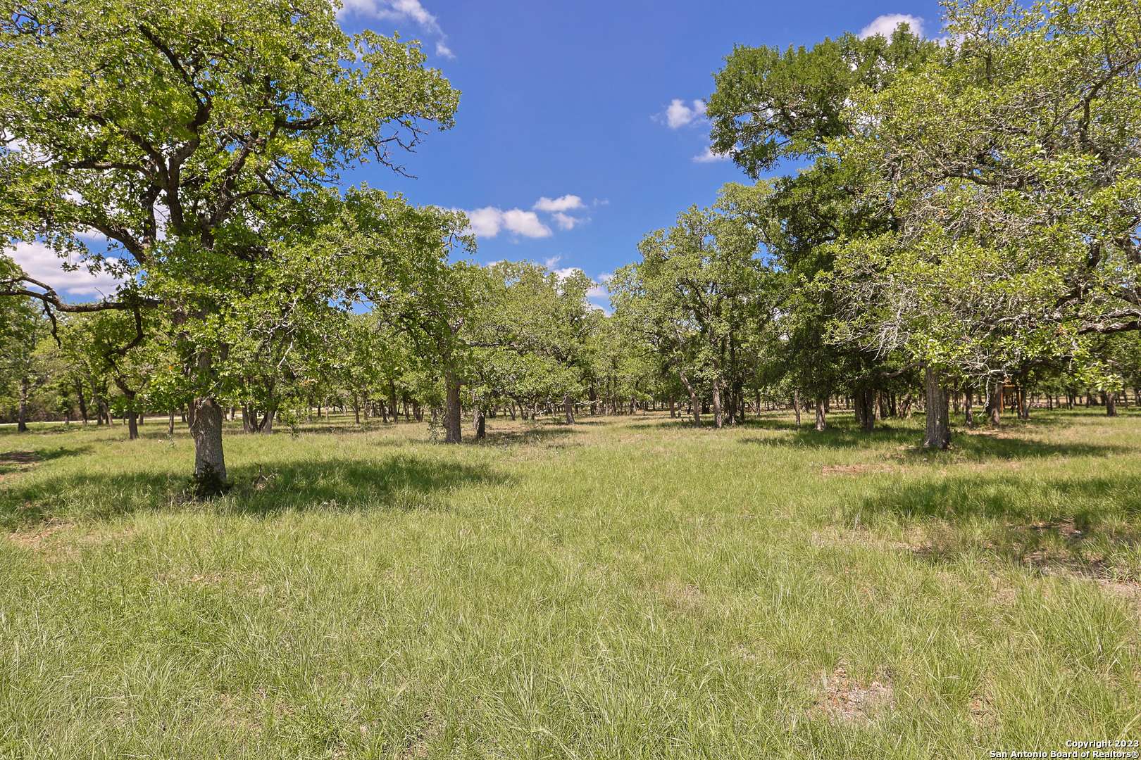 Bulverde, TX 78163,32539 Tierra Robles Drive