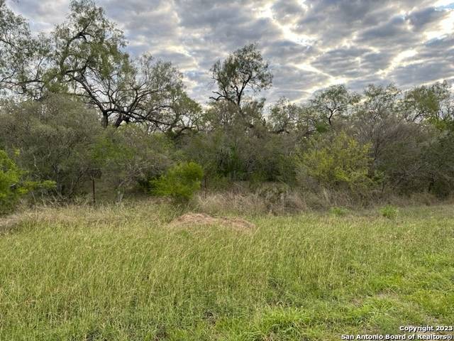 Jourdanton, TX 78026,000 CHRISTINE RD