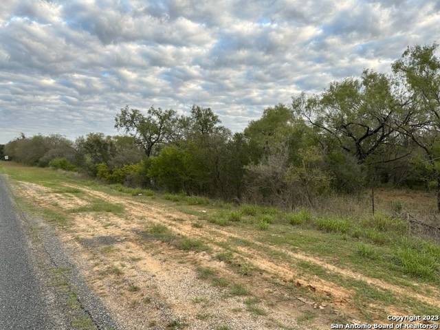 Jourdanton, TX 78026,000 CHRISTINE RD