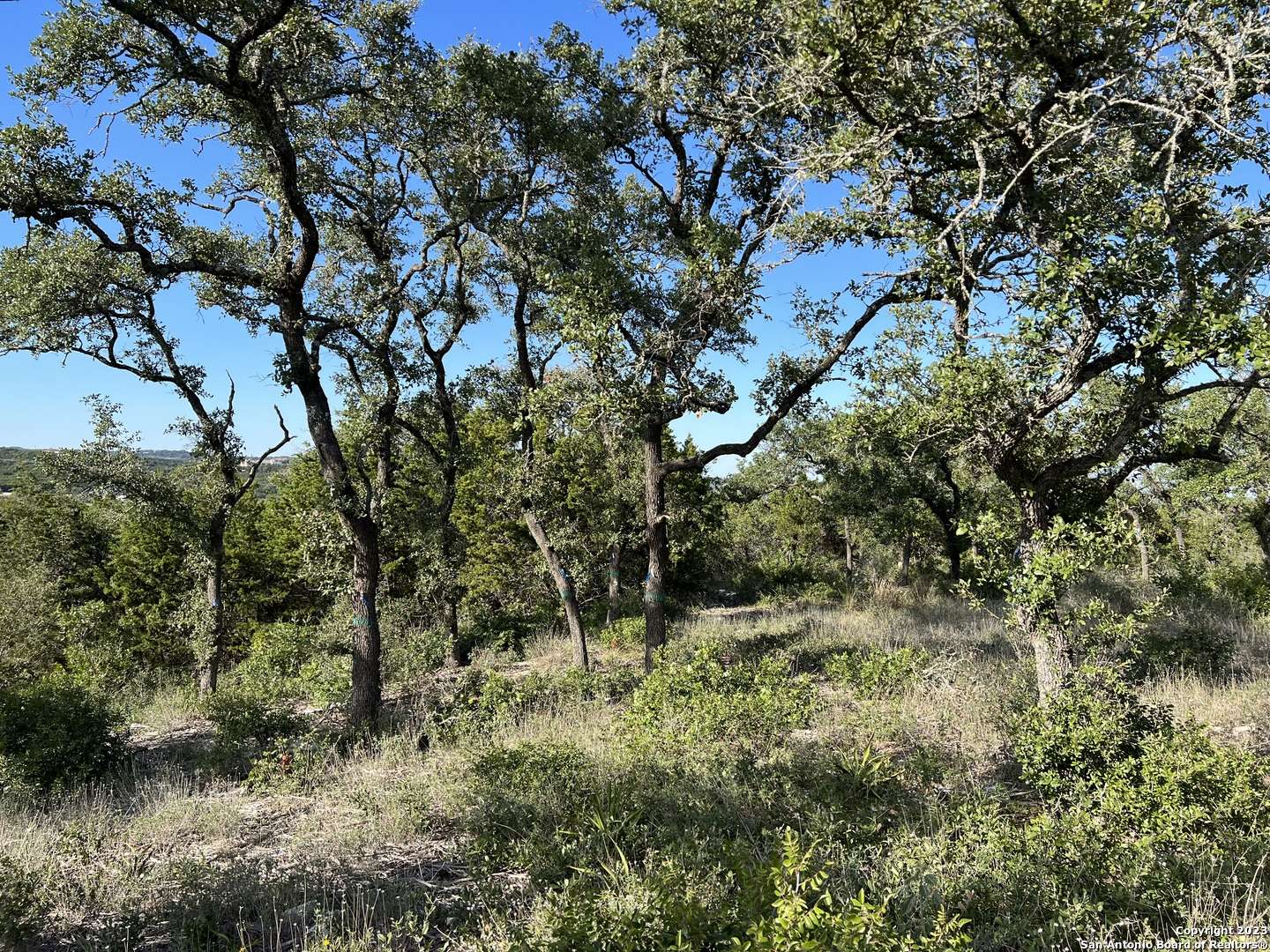 San Antonio, TX 78023,TBD ALDER SPRINGS