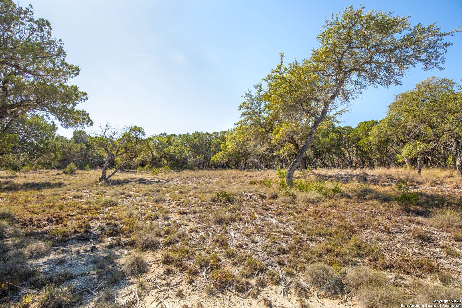 Boerne, TX 78006,LOT 28 RIO CORDILLERA