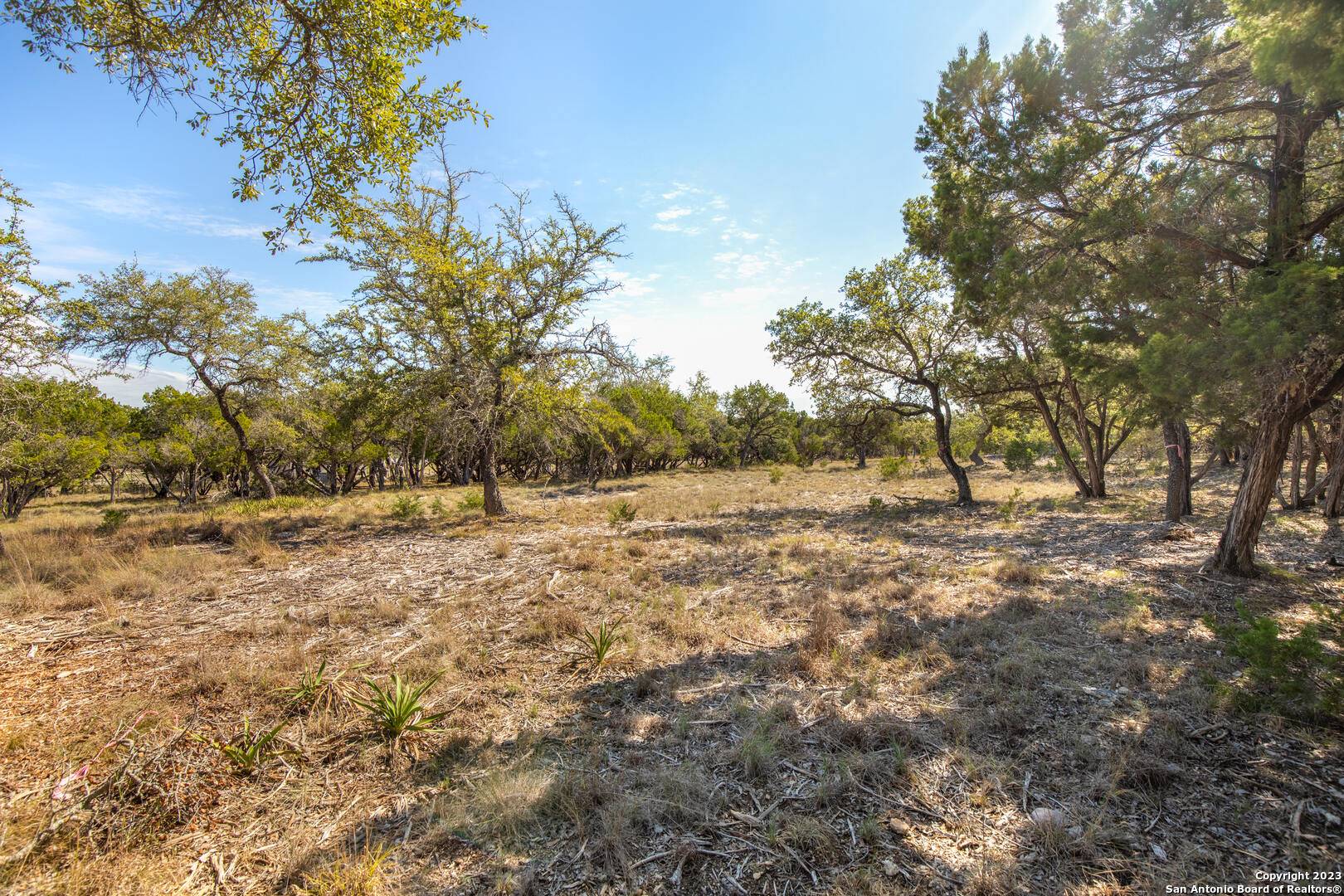 Boerne, TX 78006,LOT 28 RIO CORDILLERA