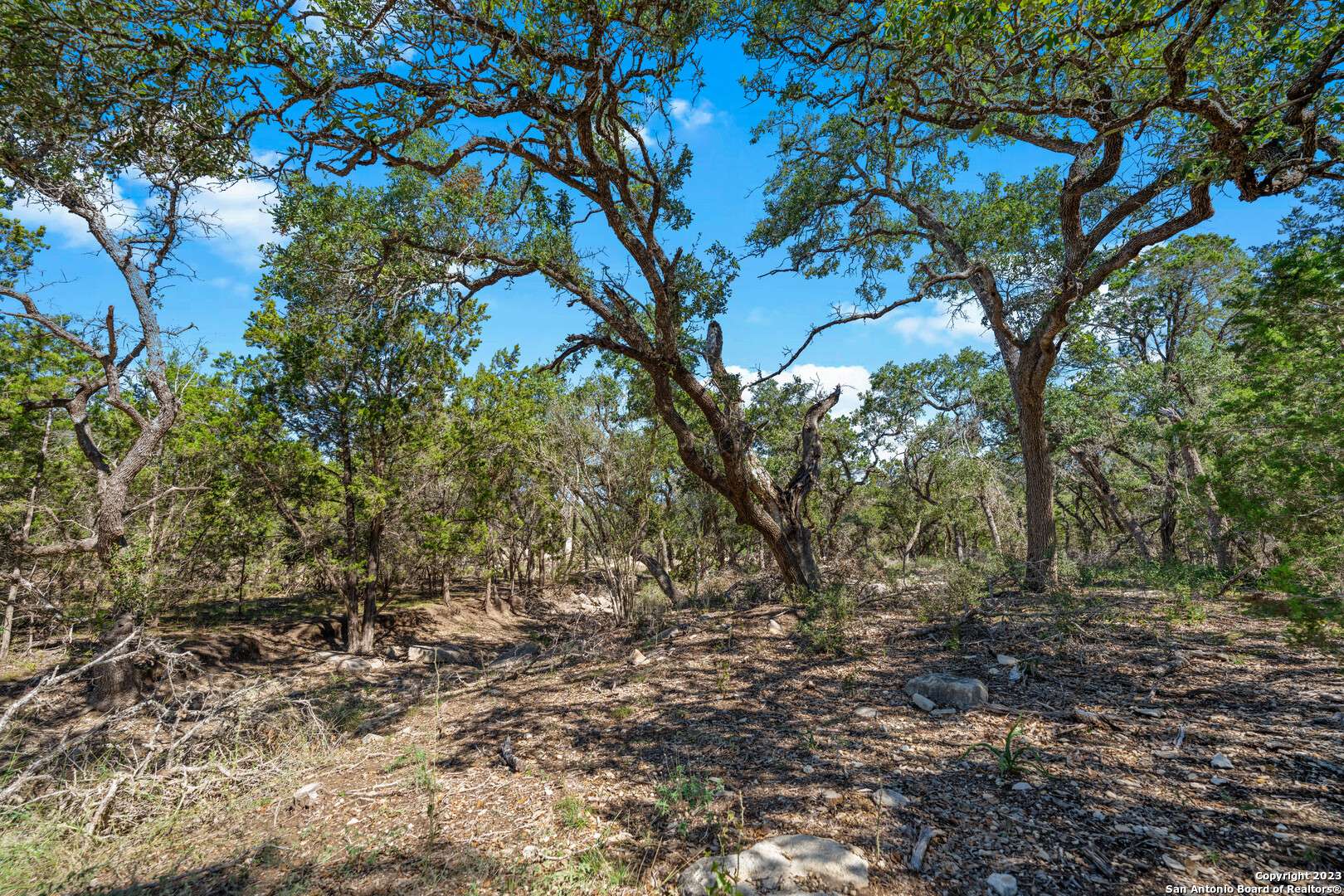 Bulverde, TX 78163,34720 Ansley Ridge Trail