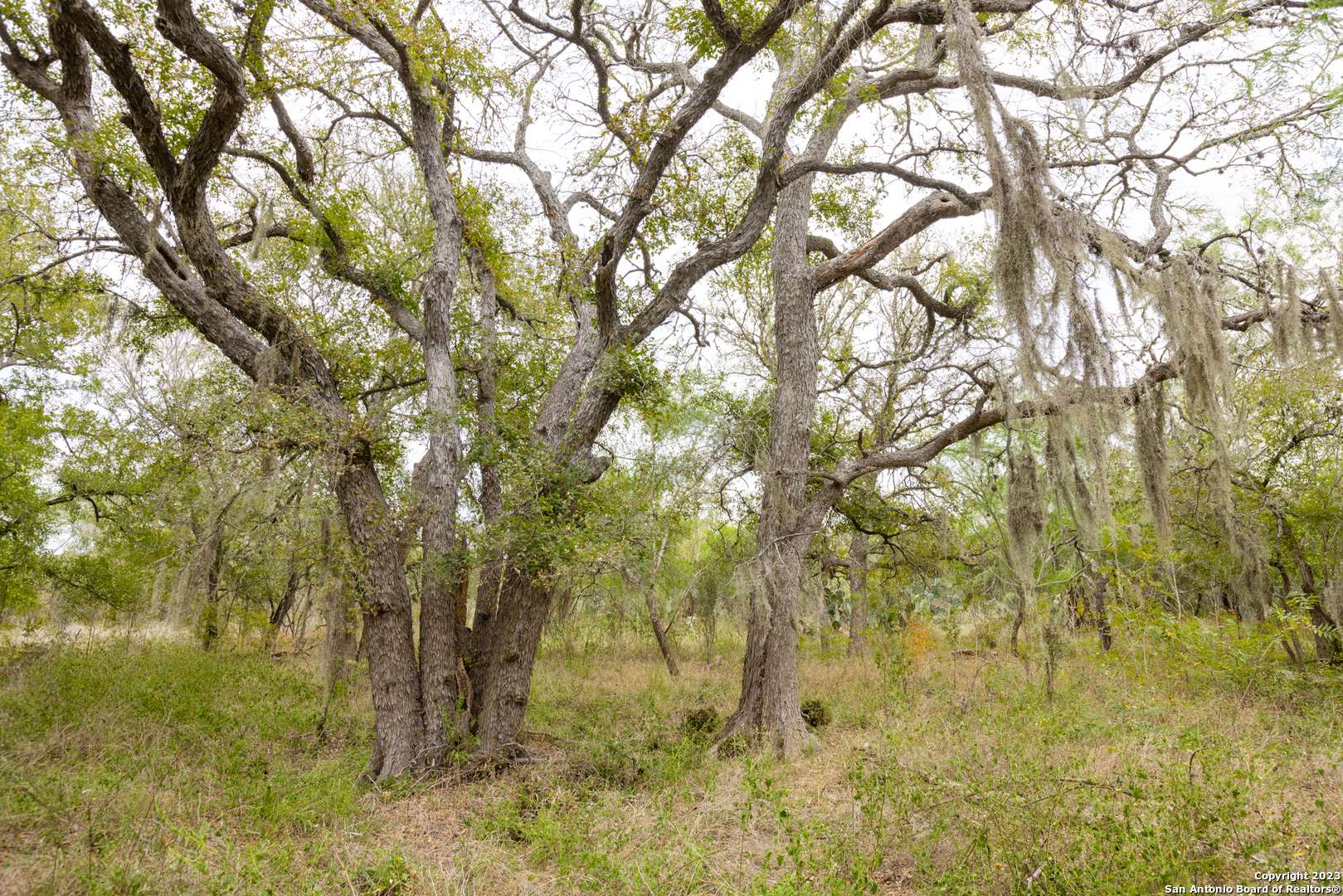 Three Rivers, TX 78071,TBD County Road 436