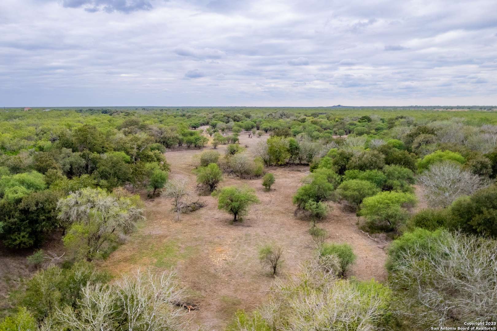 Three Rivers, TX 78071,TBD County Road 436