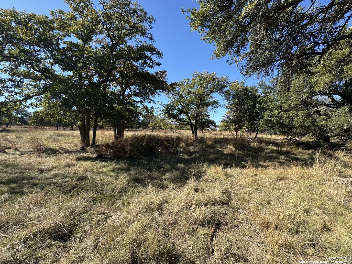 Fredericksburg, TX 78624,LOT 3 North Grape Creek Rd