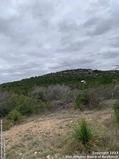 Del Rio, TX 78840,LOT 45 PINON DR