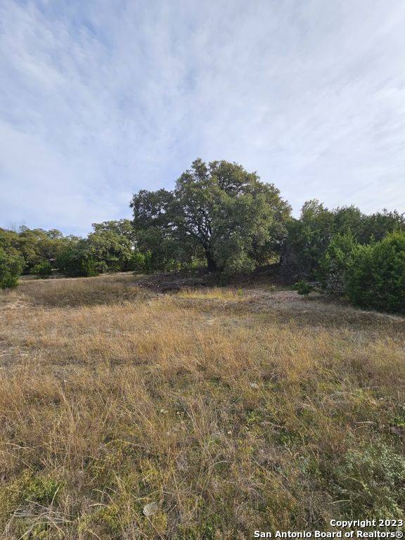 Boerne, TX 78006,10046 DOS CERROS LOOP