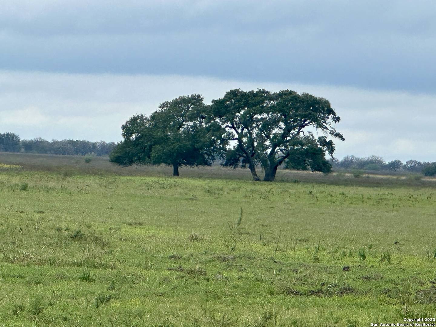 Beeville, TX 78102,6161 Highway 202