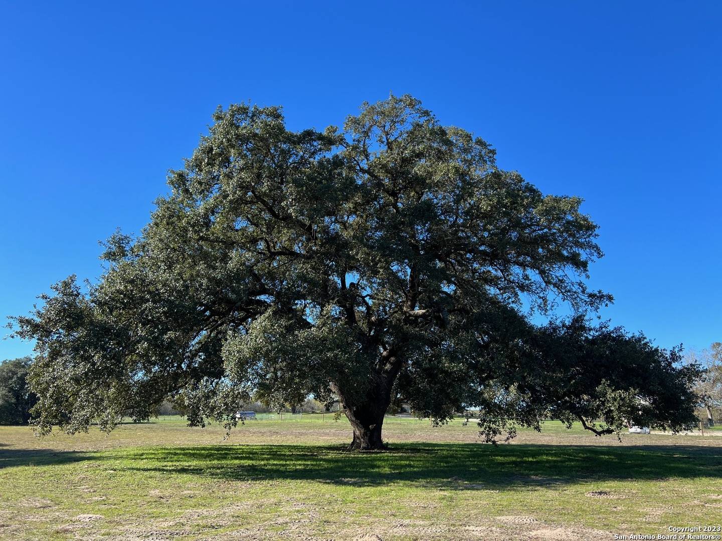 La Vernia, TX 78121,10.87 ACRES WISEMAN LANE