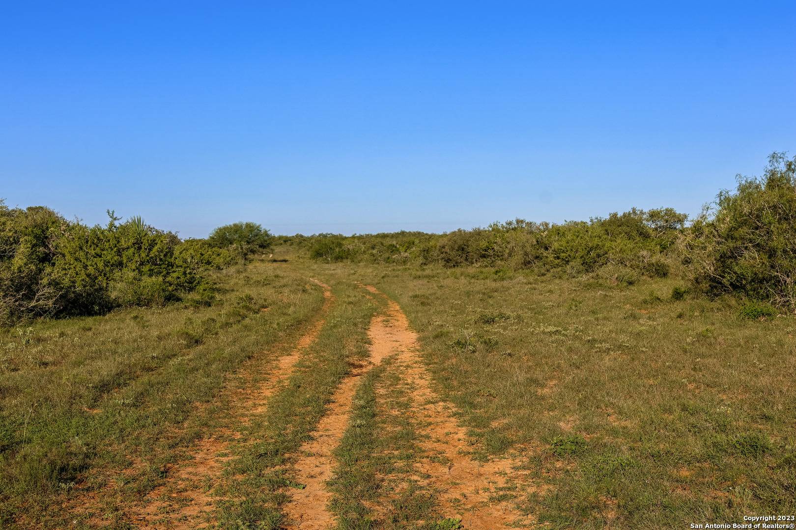 Alice, TX 78332,TBD CR-170