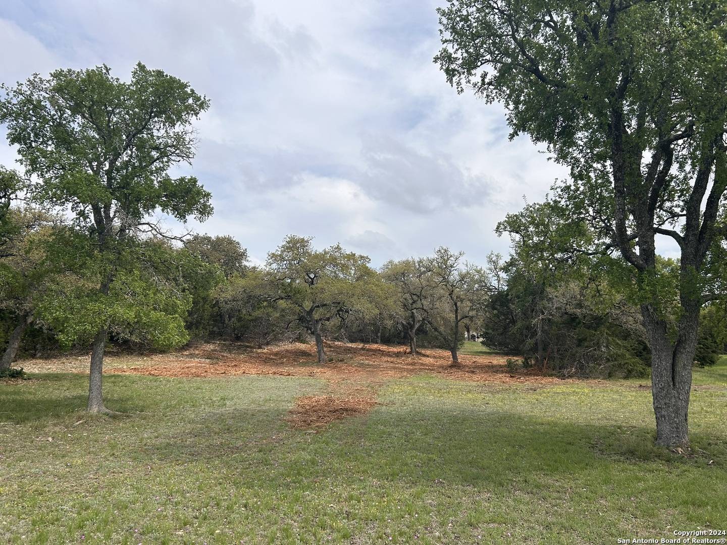 Fair Oaks Ranch, TX 78015,16 WOODLAND VIEW