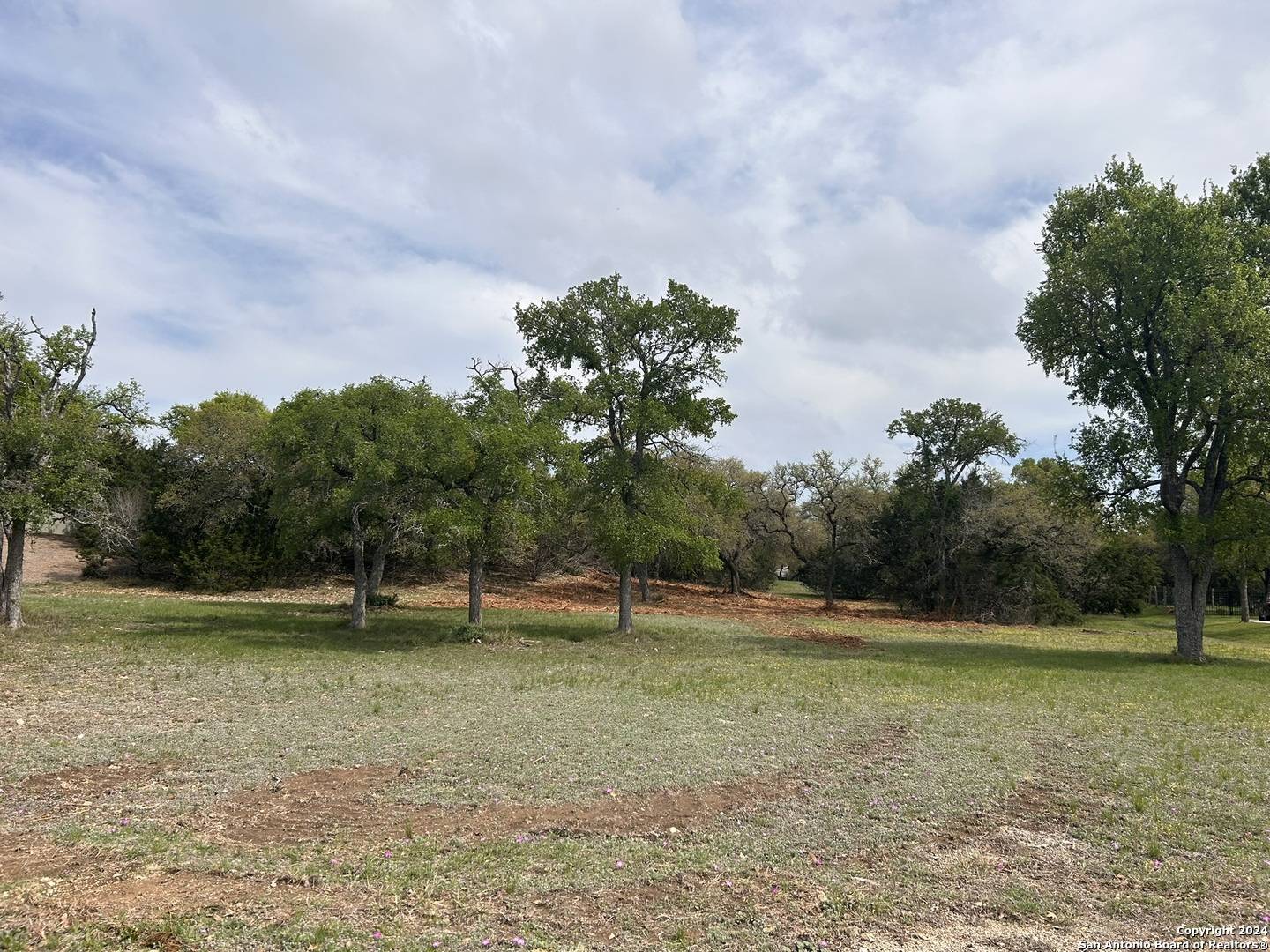 Fair Oaks Ranch, TX 78015,16 WOODLAND VIEW