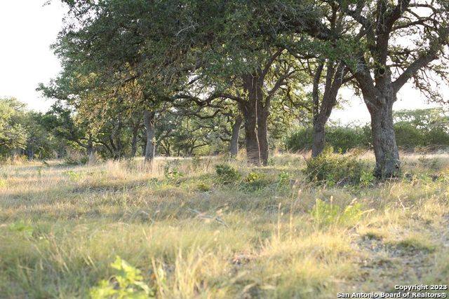 Blanco, TX 78606,LOT 88 Big Sky Ct