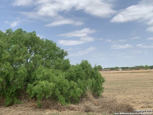 Jourdanton, TX 78026,0 Hwy 16
