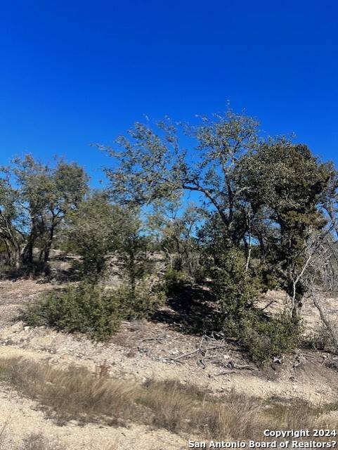 Bulverde, TX 78163,LOT 16 EARLE OAK AVE